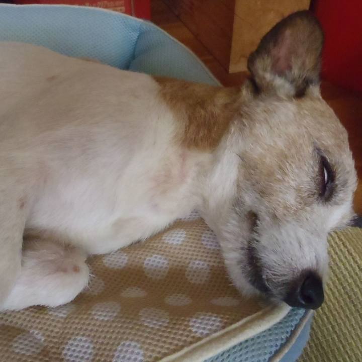 69c43e27 d050 4874 b0de b7801db9fc70 1533385672046