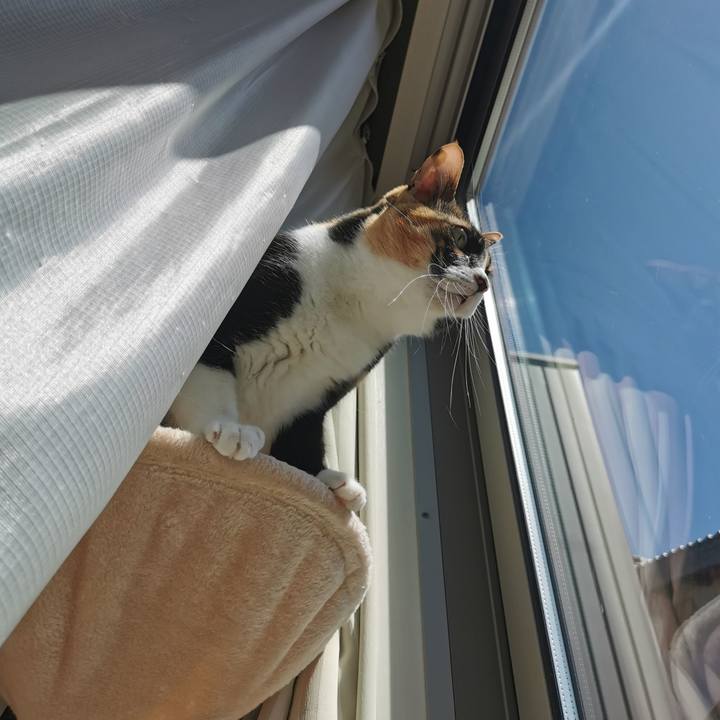 69c48383 c2bf 447d a171 7ba2c03aab19 1681358041498