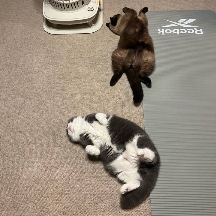 69c4ac26 2442 4364 9333 c483133f68ca 1737468663605