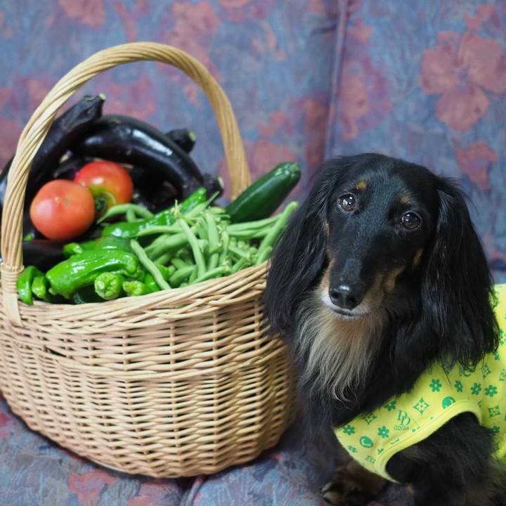 69c4c1fb 7d5f 439a 8df4 efdbabac4e04 1624587514602