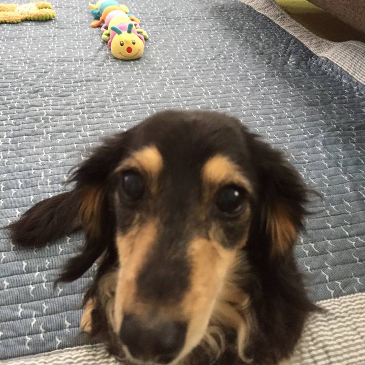 69c51176 103e 481b 8fc4 896eea40ac6f 1589413666192