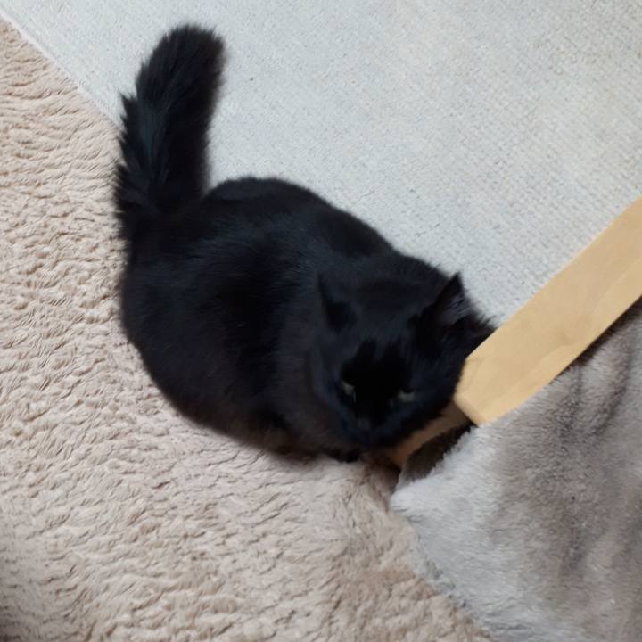 69c5153f 6ecb 4837 8c82 d60a71a584e6 1522617905267