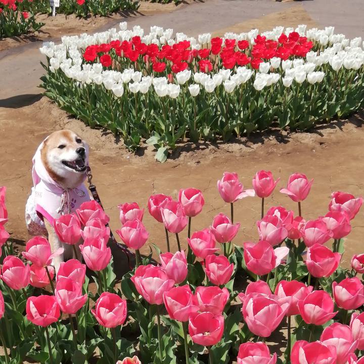 69c53599 34cf 4812 b610 becd4bdd75f0 1649411972246