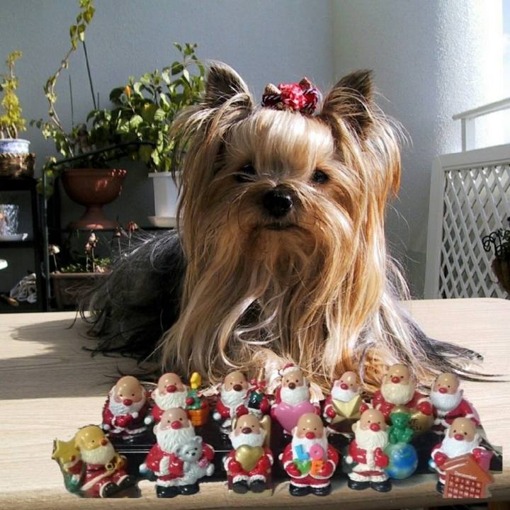 69c59b64 e261 402f 981d 78bd503dd217 1703031953743