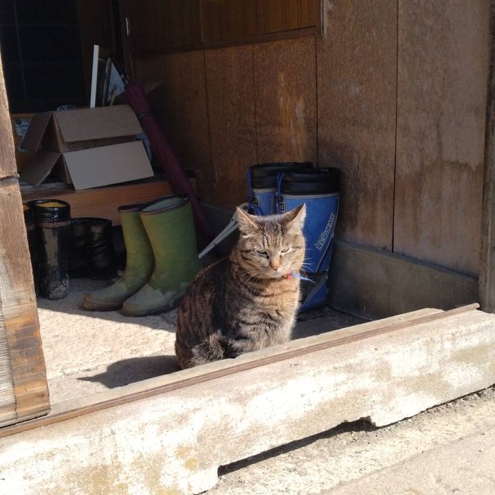 69c59cc3 24b3 4429 8c83 8c46ece1bf68 1678845827298