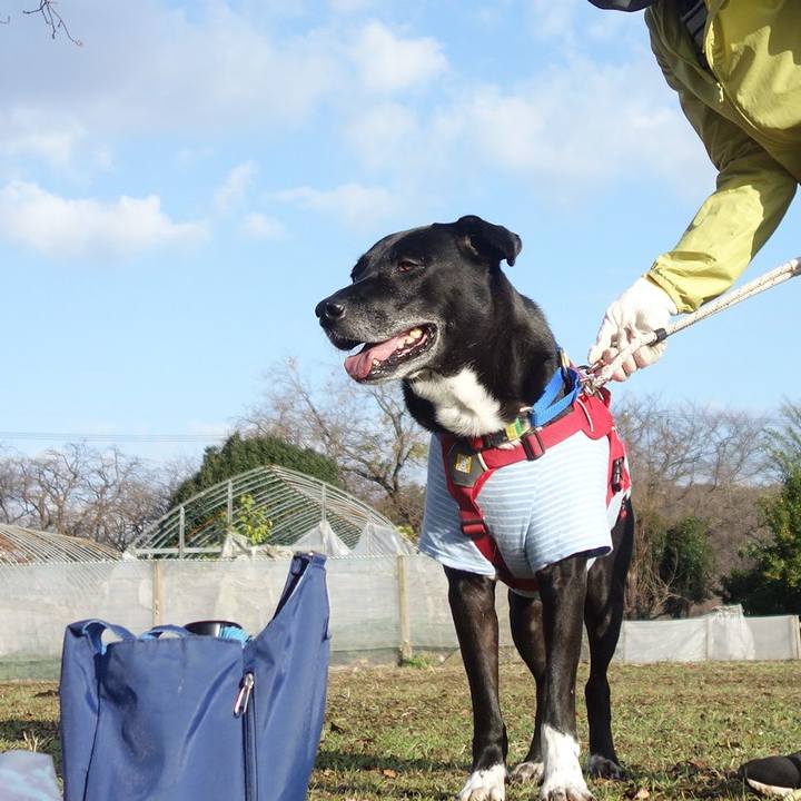 69c5e94a 72c5 45a8 a585 9777fb2aa170 1670549654870