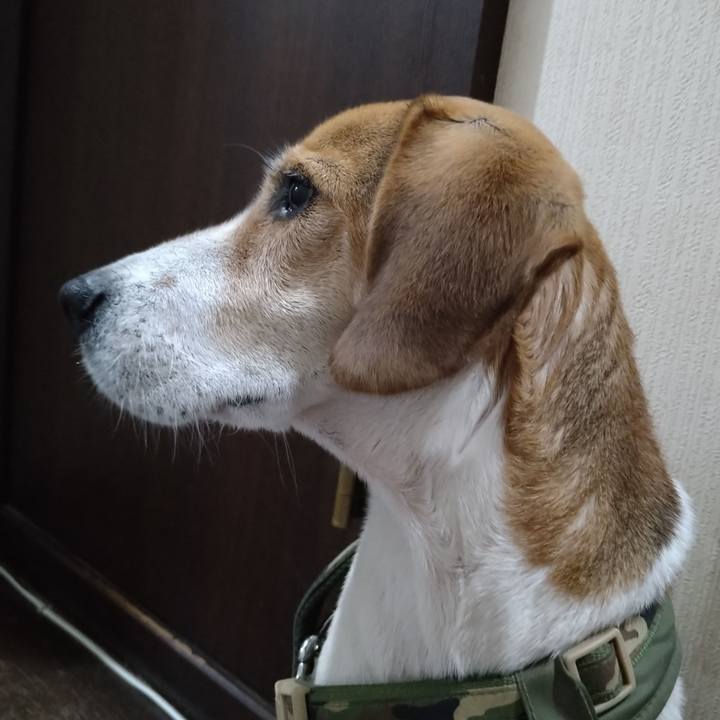 69c5f3bf b65d 49fe beda 3b0198ec2e47 1670400810561