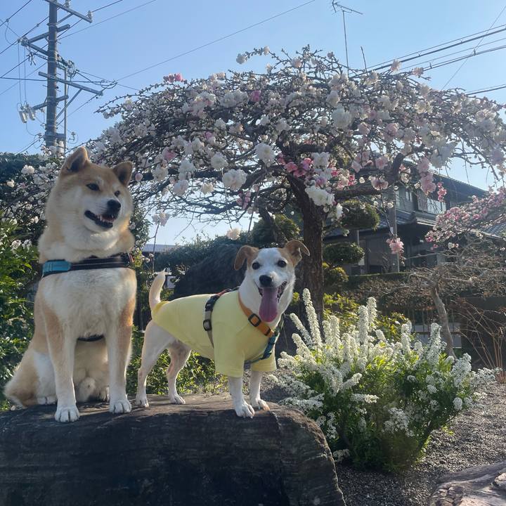 69c62c4d 72ae 485f a365 56e9dda2ec00 1774259829969