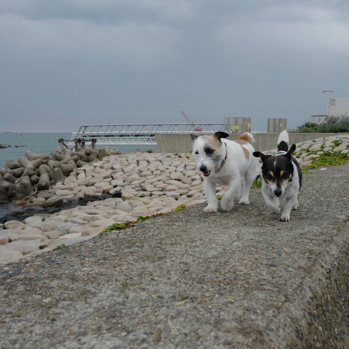 69c64aea e5cb 481a 9adf d690a36283de 1563075642199