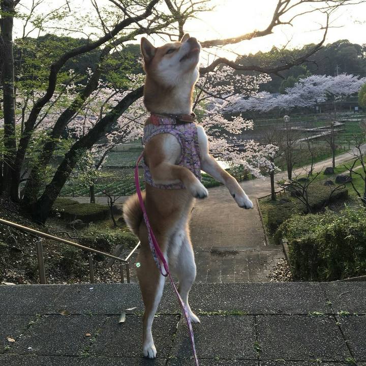 69c6c643 93fd 45ed 97c9 b21c8c291952 1522315651268