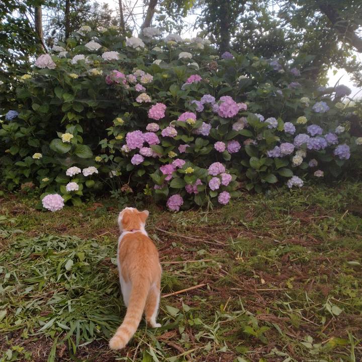 69c6e3f4 6363 4522 9a6f 77ac9dccf279 1751409181466