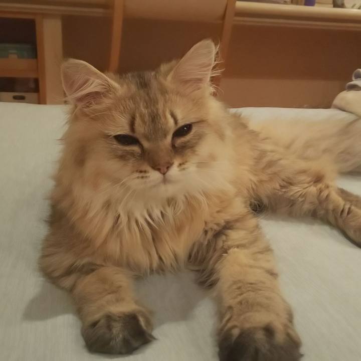 69c781cd 7542 4812 b34f cee3b40dc501 1563594390719