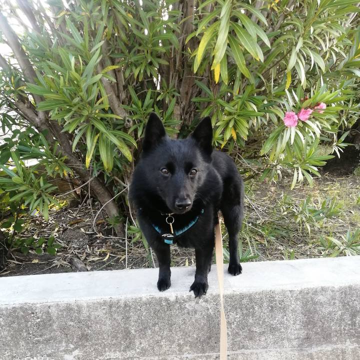 69c79087 db8f 47b6 826c 62740529aec7 1654204894811