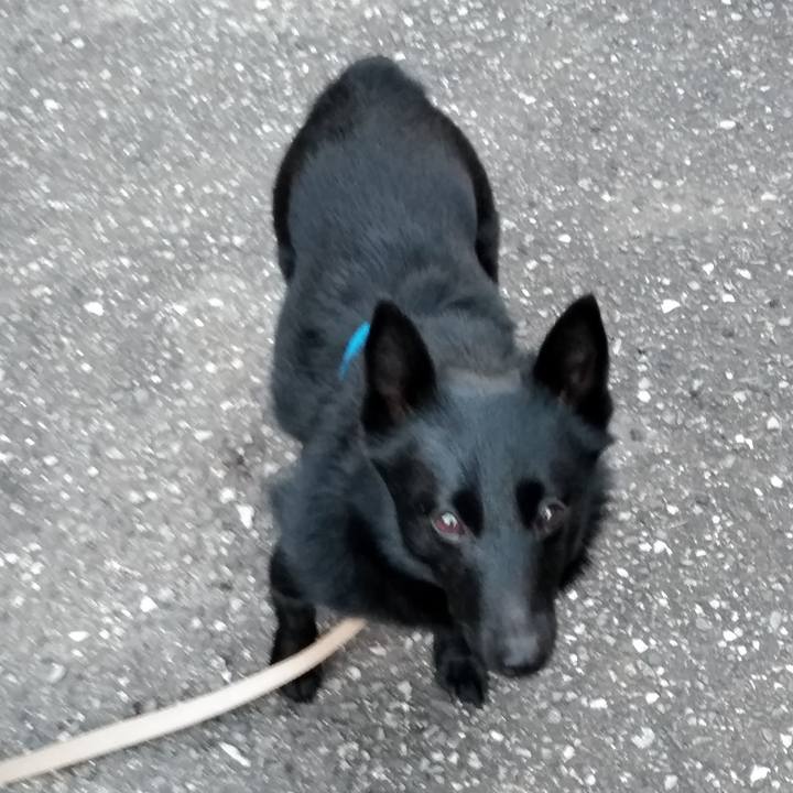 69c79e01 c1a9 438e 9813 8258b0282efc 1552466950686