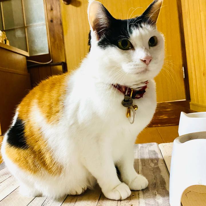 69c7b65b 61bb 4edd ba54 ea3bc87e32d6 1711460185853