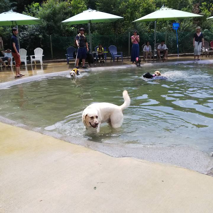 69c7d4fd 6af4 4499 b0ec 78fc97842678 1564298673485