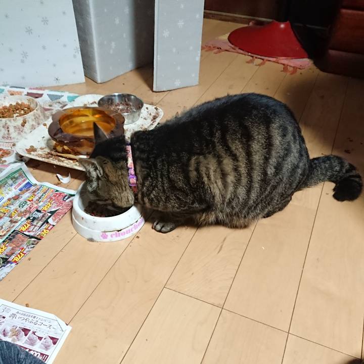 69c80ad9 2eba 42e2 aaef c17891eb3953 1648760935662