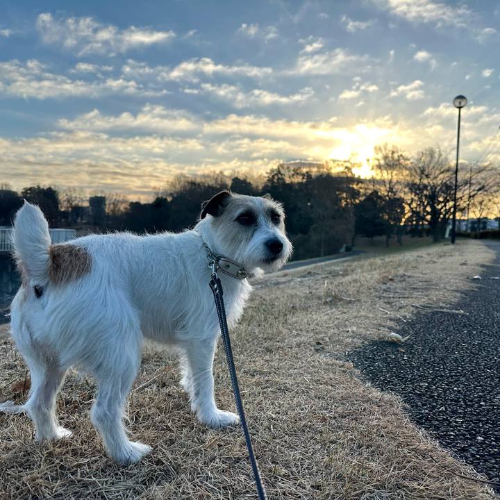 69c8143e 2ec1 4ed6 88ff ac72ccf264bc 1735399352654