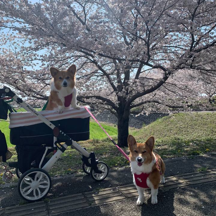 69c822a0 976e 43fa 8426 60edf310f3a7 1679994091006