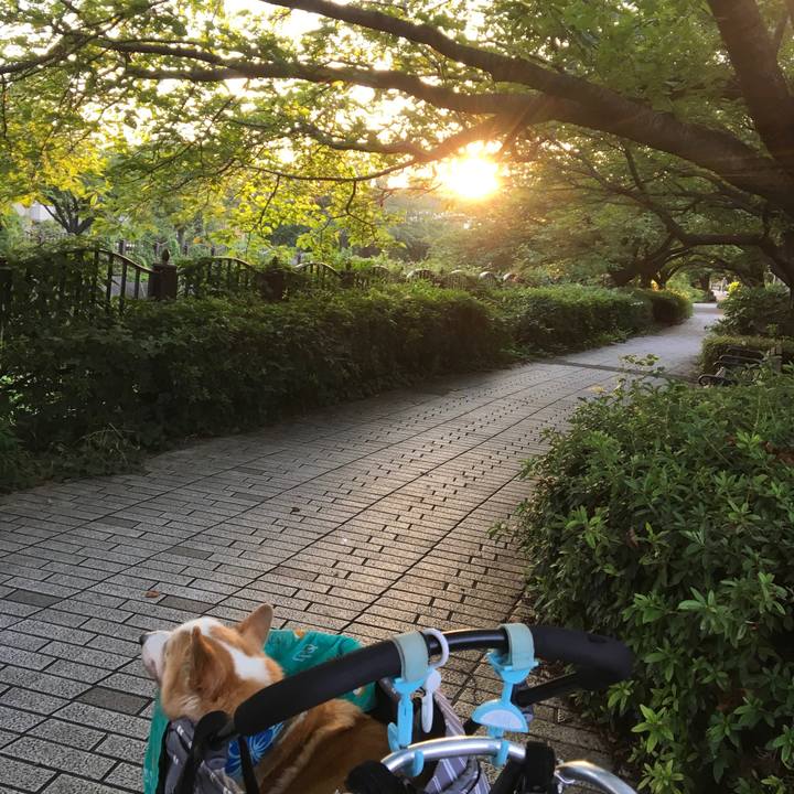 69c8352b 5fbb 447d 8d78 7b5990316be6 1565218385619