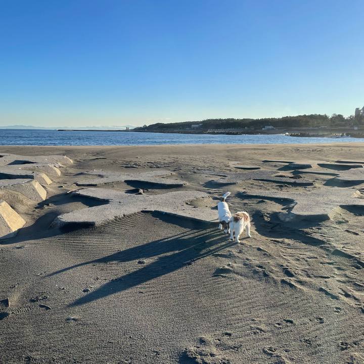 69c83889 53b8 4127 8f1d 335efad450b6 1772063416247