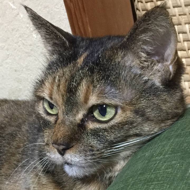 69c845c3 f5db 4734 8483 6aba5328ea69 1517733492267