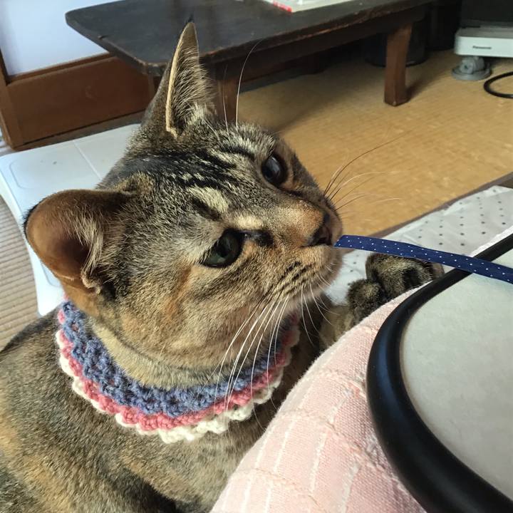 69c86c2c 8bc4 4806 a7a6 9f1278f12fdc 1617668763311