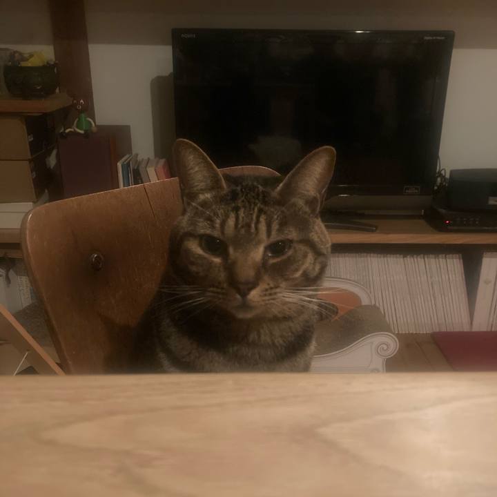 69c87f7e 80ac 4e30 8462 746b01d6d1e5 1739887423932