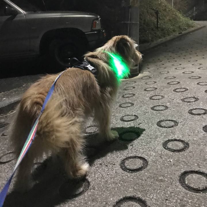 69c8b1a4 13df 47ca a82e 2b5f6f6b7630 1646407289476