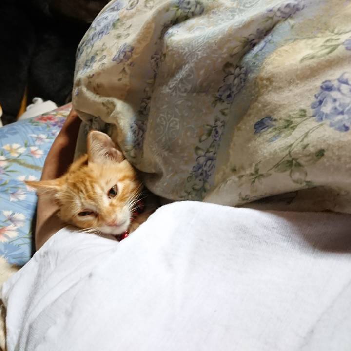 69c8c4bc 6884 4814 9a9d 8e4b132510a5 1629489344262