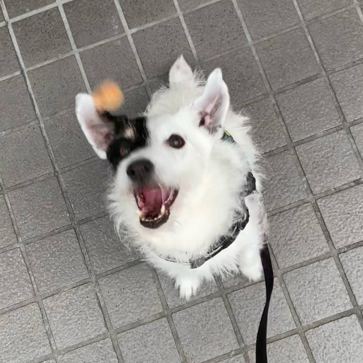 69c8dc78 b93f 4ebf bcb0 f73d2e0e1a05 1718613258552