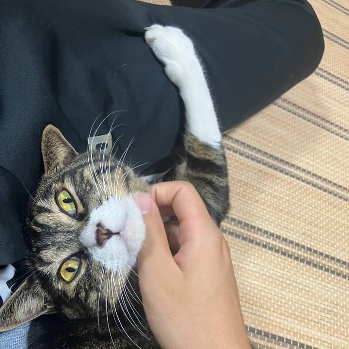 69c8ebfd 761c 4f47 bcf5 3e849be9a83a 1761694793853