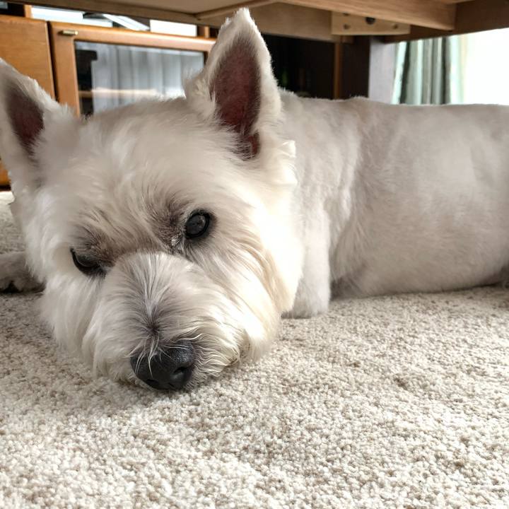 69c946ed 677d 4f7a a44d 7841ee9ec58b 1594793270274