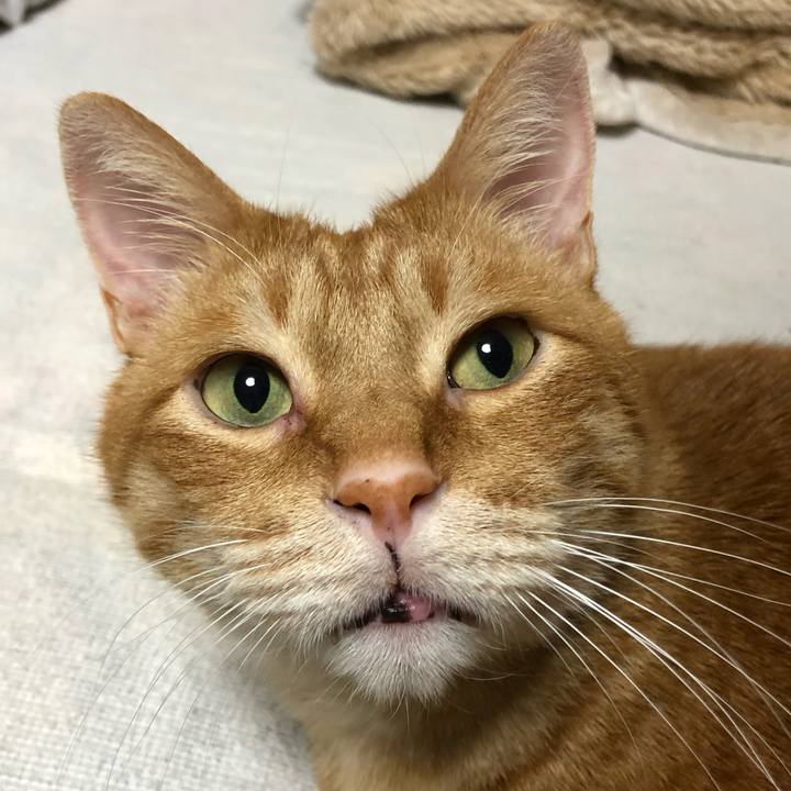 69c992b0 4d9f 4e43 851d bbd3e67972ca 1607955498030