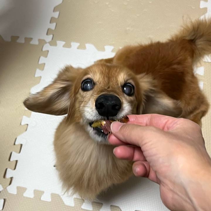 69c99b2d cf9d 430f af98 8e3217bf252b 1637494578863