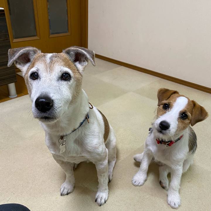 69c9ae8e 7e07 4cf0 a1de 1670bff012b1 1618046815674