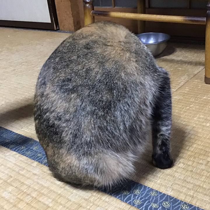 69c9b929 cbe3 4c51 bc37 b57004117f95 1650187288989