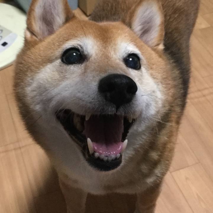 69c9f904 462c 4c15 9050 fda38c28f1f1 1591432092009