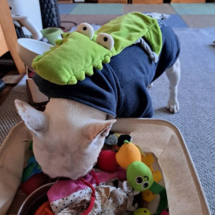 69c9ffef a3b8 400f b58b ee923f157d3b 1711010421756