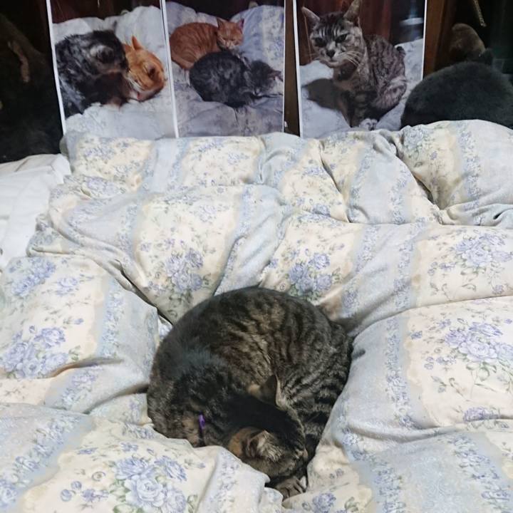 69ca405a 8109 4927 93c5 daaae68dbb3e 1653656502585