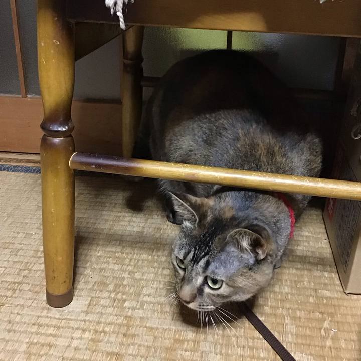 69ca78d0 aadf 4c6f 9f59 11faadde6874 1679486726310