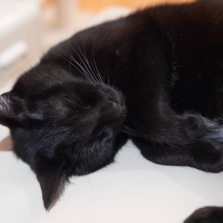 69ca917a 4d5b 4d2f a3a6 3950b78e2e90 1616336016209