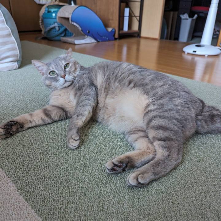 69cabb4f 505a 4042 8031 adb7fd6058af 1705550671555