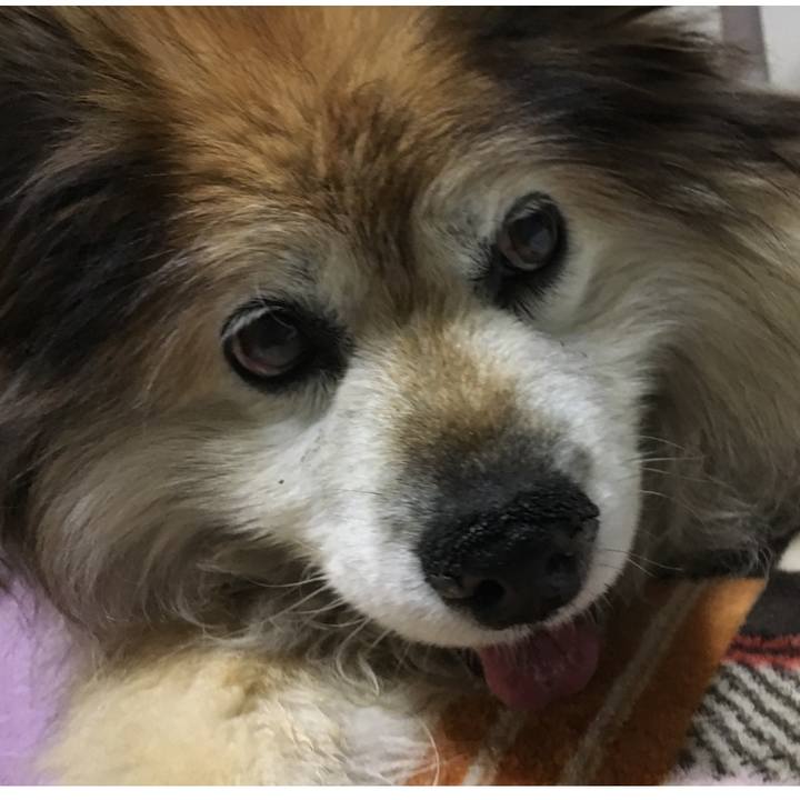 69cacdb6 ff9e 44b7 aed8 eaf4dd8bfbad 1561008558077