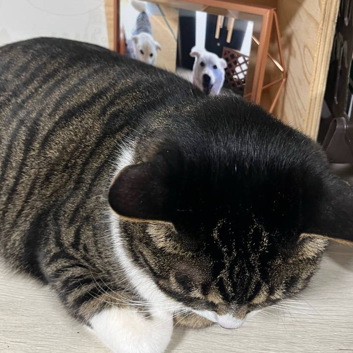 69cada43 14bd 4c53 aa23 bd7b8630bcd1 1772238148487