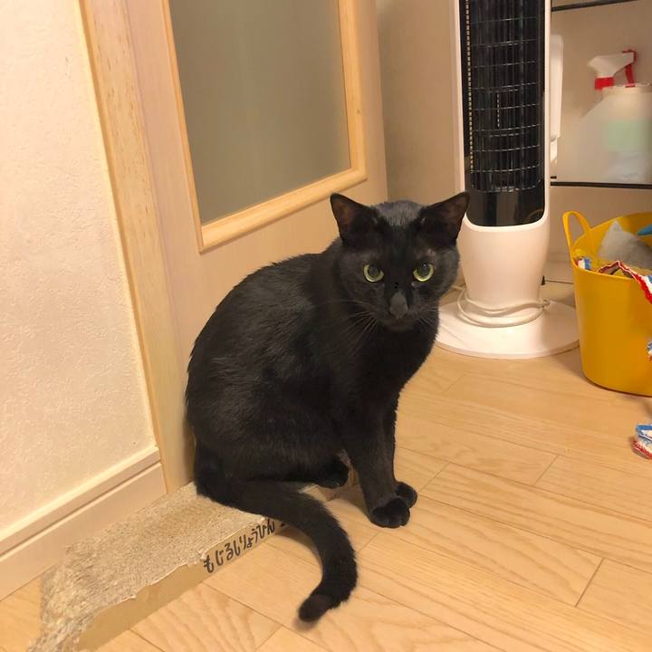 69cae6c1 e745 4e08 a4fa ca6625b88af4 1558528188300