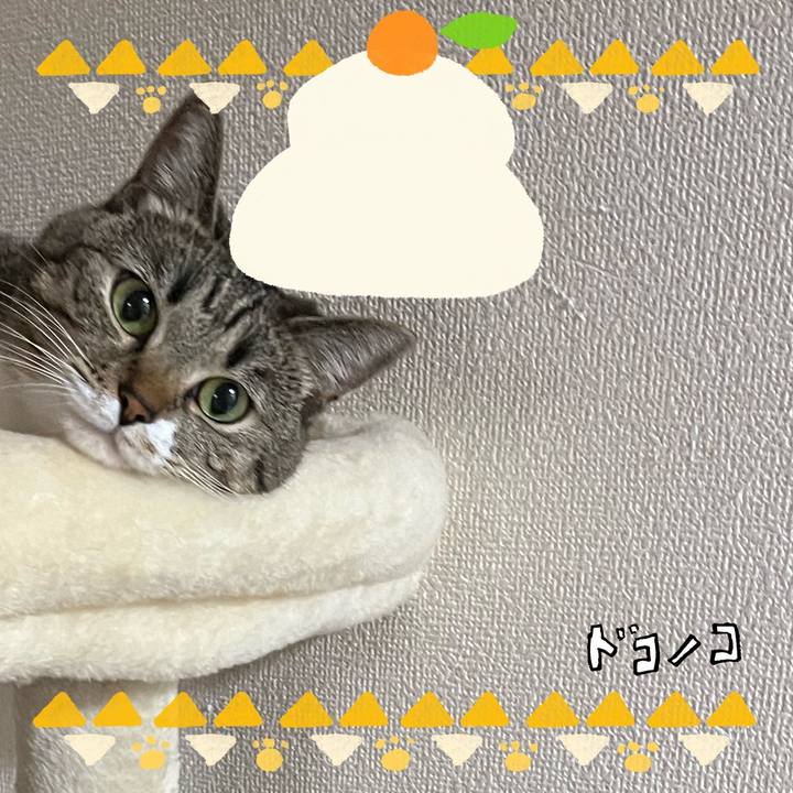 69caf04e 5f2a 4cfe 9c49 7924f72aac26 1704325072462