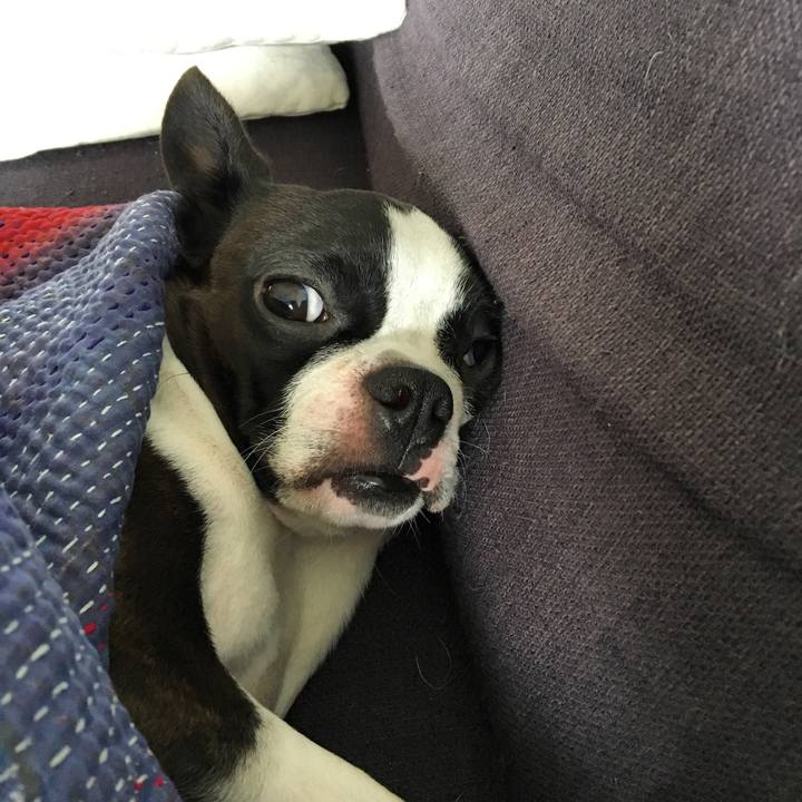 69caf695 045c 4274 9c6b 1660af33427a 1526521291468