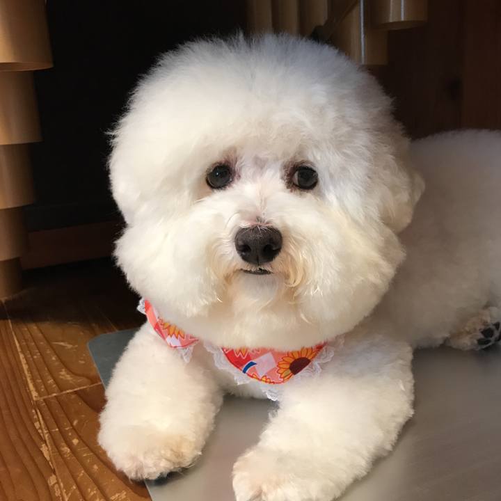 69cb14ba 6d1b 47a4 af12 9e3be00b89a6 1534839715281