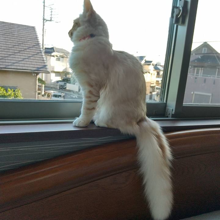 69cb2a95 7833 4b9f a79c c6d03fbe3ae1 1618454690502